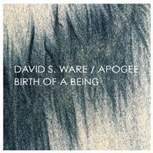 Ware David S. - Birth Of A Being (Expanded) in the group OTHER / Övrigt /  at Bengans Skivbutik AB (1705191)