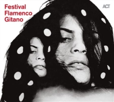 Blandade Artister - Festival Flamenco Gitano