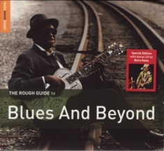 Blandade Artister - Rough Guide To Blues And Beyond **2