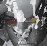 Motorpsycho - Child Of The Future in the group OTHER / Övrigt /  at Bengans Skivbutik AB (1710294)