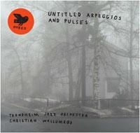 Trondheim Jazz Orchestra & Christia - Untitled Arpeggios And Pulse in the group CD / Jazz/Blues at Bengans Skivbutik AB (1713357)