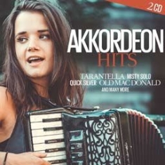 Blandade Artister - Akkordeon Hits in the group CD / Pop at Bengans Skivbutik AB (1718841)
