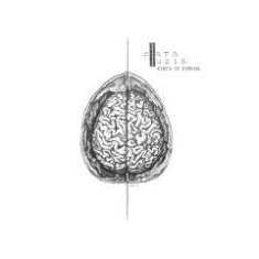 Luzia Clara - Here\s To Nemesis in the group OTHER / Övrigt /  at Bengans Skivbutik AB (1721314)