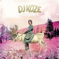 Dj Koze - Amygdala