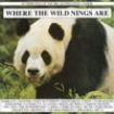 Blandade Artister - Where The Wild Nings Are in the group CD / Pop at Bengans Skivbutik AB (1794646)