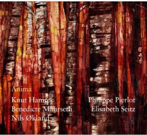 Maurseth Benedicte/Knut Hamre/Nilsö - Anima