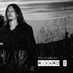 Rikard Z - I Can Do Without Love