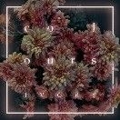 Colours - Ivory in the group OTHER / Övrigt /  at Bengans Skivbutik AB (1914718)