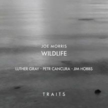 Morris Joe / Wildlife - Traits in the group CD / Jazz/Blues at Bengans Skivbutik AB (1916530)