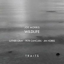 Morris Joe / Wildlife - Traits in the group OTHER / Övrigt /  at Bengans Skivbutik AB (1916530)