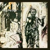 Marvin Gaye - Jere My Dear (2Lp) in the group VINYL / Pop-Rock,RnB-Soul at Bengans Skivbutik AB (1927425)