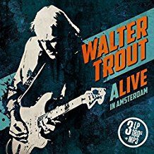 Trout Walter - Alive In Amsterdam in the group CD / Jazz,Pop-Rock at Bengans Skivbutik AB (1949764)