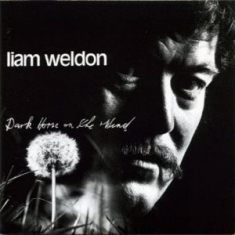Weldon Liam - Dark Horse On The Wind