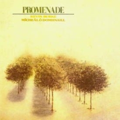 Burke Kevin & M?Chael O'domhnaill - Promenade in the group CD / Elektroniskt at Bengans Skivbutik AB (1968731)