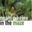 Pikelny Noam - In The Maze in the group CD / Country at Bengans Skivbutik AB (1968815)