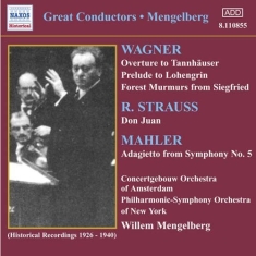 Various - Great Conductors Mengelberg