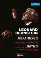 Bernstein - Conducts Beethoven / Haydn