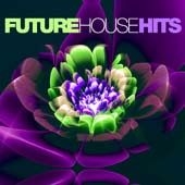 Blandade Artister - Future House Hits in the group OTHER / Övrigt /  at Bengans Skivbutik AB (2038827)