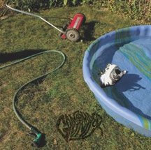 Godstopper - Lie Down in the group OTHER / Övrigt /  at Bengans Skivbutik AB (2060740)