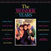 Blandade Artister - Wonder Years: Music From The Emmy A