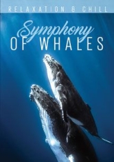 Relax: Symphony Of Whales - Film