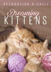 Relax: Dreaming Kittens - Film in the group OTHER / Music-DVD & Bluray at Bengans Skivbutik AB (2101983)