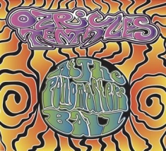 Ozric Tentacles - At The Pongmaster's Ball (Cd+Dvd)