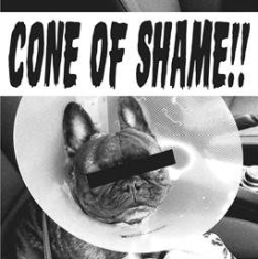 Faith No More - Cone Of Shame (Green Vinyl) in the group VINYL / Rock at Bengans Skivbutik AB (2255676)