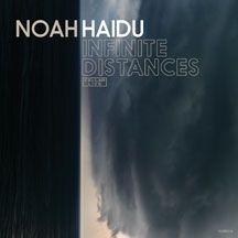Haidu Noah - Infinite Distances in the group OTHER / Övrigt /  at Bengans Skivbutik AB (2260248)