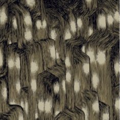 Debrauw Trevor - Uptown