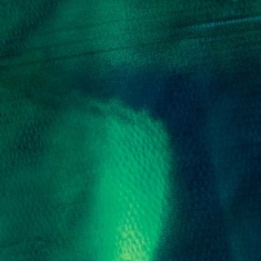 Grosse Katharina & Stefan Schneider - Tiergarten