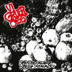 Vi Gruer Oss - Refleksjona Over Tempo in the group OTHER / Övrigt /  at Bengans Skivbutik AB (2377353)