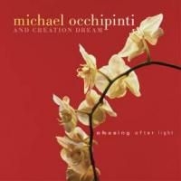 Occhipinti   Michael - Chasing After Light in the group CD / Rock at Bengans Skivbutik AB (2414178)