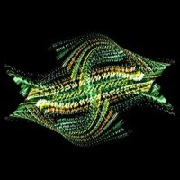 Bogus Order - Zen Brakes Vol. 2