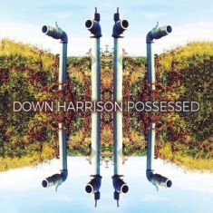 Down Harrison - Possessed