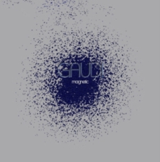 Gaudi - Magnetic