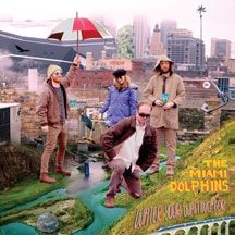 Miami Dolphins - Water Your Waiting For in the group OTHER / Övrigt /  at Bengans Skivbutik AB (2540386)