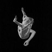 Autumns - Suffocating Brothers in the group OTHER / Övrigt /  at Bengans Skivbutik AB (2547802)