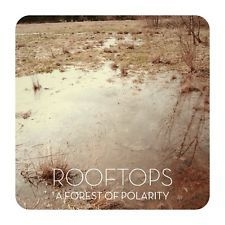 Rooftops - A Forest Of Polaris