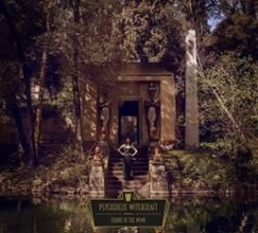 Psychedelic Witchcraft - Sound Of The Wind in the group OTHER / Övrigt /  at Bengans Skivbutik AB (2557290)