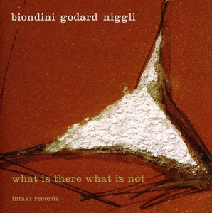 Biondini - Godard - Niggli - Godard - Niggli - What Is There What Is Not