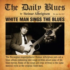 Albrigtsen Steinar - Daily Blues