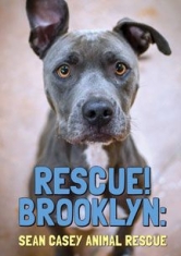 Rescue! Brooklyn - Film in the group OTHER / Music-DVD & Bluray at Bengans Skivbutik AB (2674389)
