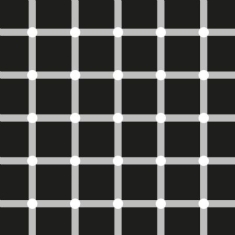 Vacant Lots - Departure