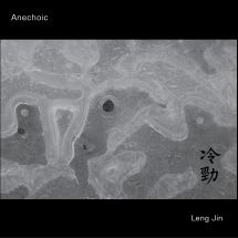 Anechoic - Leng Jin in the group OTHER / Övrigt /  at Bengans Skivbutik AB (3034504)