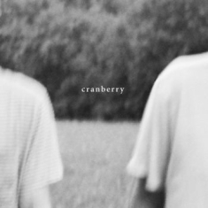 Hovvdy - Cranberry (Vinyl)