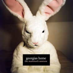 Georgias Horse - Mammoth Session