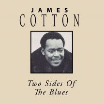 Cotton James - Two Sides Of The Blues in the group CD / Jazz/Blues at Bengans Skivbutik AB (3113733)