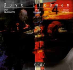 Liebman Dave - Fire in the group CD / Jazz/Blues at Bengans Skivbutik AB (3178316)
