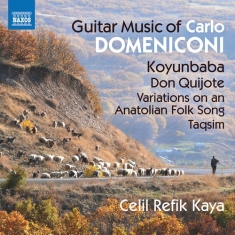 Domeniconi Carlo - Guitar Music
